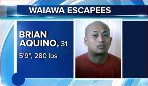 ●カイルアで強盗をし、ワイマナロで捕まった脱走犯の残り一人はいまだに逃走中