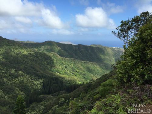 Wiliwilinui Hike Trail（ウィリウィリヌイ・ハイクトレイル）～まだ見知らぬオアフの魅力を発掘