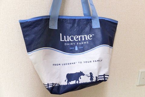 大容量で安い！ハワイで便利な保冷バッグは「セーフウェイの Lucerne 」～かさばらないので「いざというとき」使える