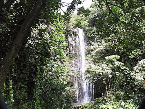 オヘオの池とマカヒク・フォールズ　2017年ＧＷハワイ旅行記3日目その15　