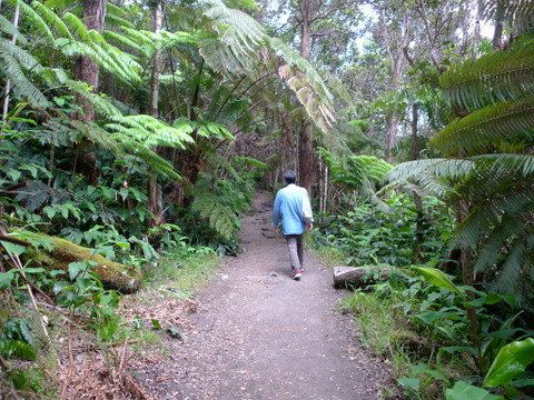 ぐるっと一周「Kilauea Iki Trail」 ③