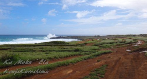 ハワイ島フォト日記　ニッポンの皆さま　海を汚さないで！