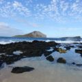 Hawaii・サンドバーがあるのは天国の海だけではない～クリオウオウビーチ（Kuliouou Beach)で沖まで歩こう！