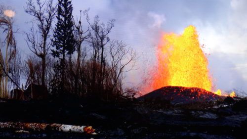 ハワイ島火山情報６－１　＆　初夏は花の季節だね