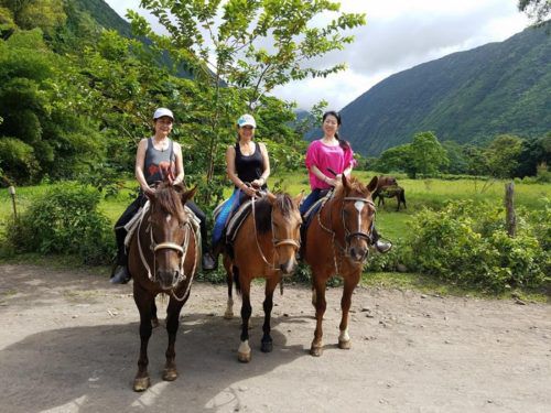 ハワイ島フォト日記　お馬に揺られて渓谷散歩　ヒイラ～ベ～～♪