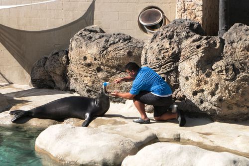 家族連れにおすすめの「ワイキキ水族館」を徹底取材！