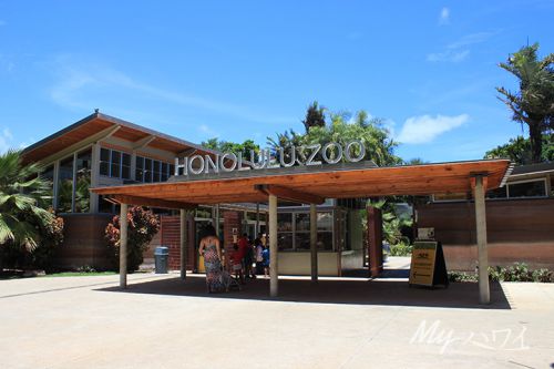 ホノルル動物園、新コンセプト飲食店オープン