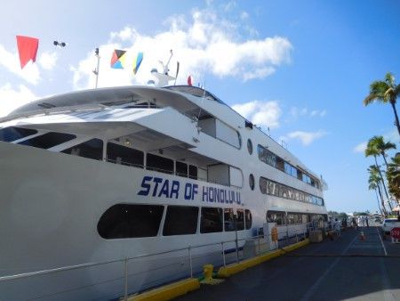 Whale Watching @Star of Honolulu