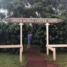 ハワイのコーヒー農園はオアフ島がおすすめ！アクセスや営業時間も調査！