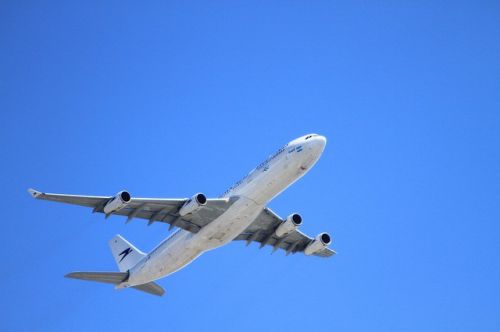 子連れ海外旅行☆ハワイはツアー・個人手配どっちで行く？お得＆安心なのはどちらか検証してみました。