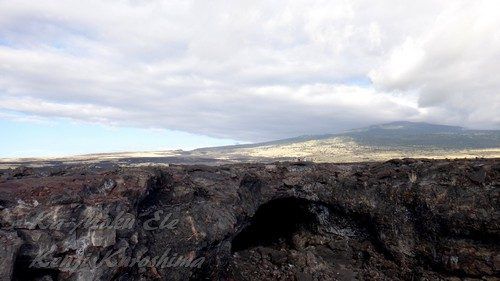 ハワイ島フォト日記　ボルケーノ閉鎖中の人気スポット！　