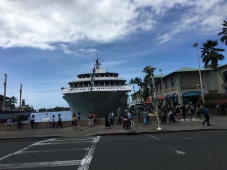 Premier Whale Watch Cruise Star of Honolulu