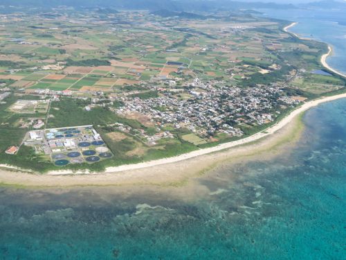 小さい子連れで冬にしたオアフ島旅行と石垣島旅行の比較