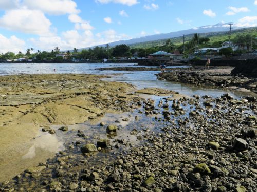 5歳児・1歳児とハワイ島のKahalu’u Beach Park(カハルウビーチ)を訪れた感想