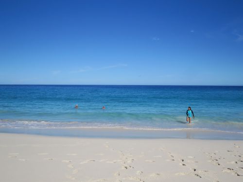 ハワイのビーチに行く前にHawaii Beach Safetyを見て役立った例