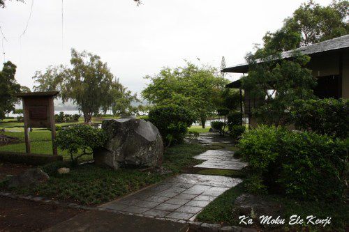 ハワイ島フォト日記　えらいこっちゃ！日本公園のお茶室が白蟻にやられた！？！