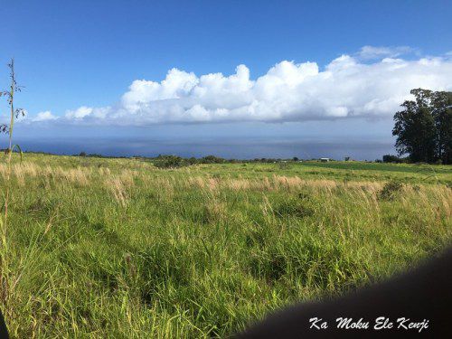 ハワイ島フォト日記　ハワイの台所を任されたハワイ島で最高の農地！