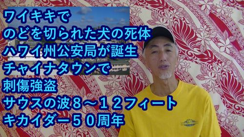 D.H.C. Hawaii NEWS #134：ワイキキでのどを切られた犬の死体、ハワイ州公安局が誕生、チャイナタウンで刺傷強盗、サウスの波８～１２フィート