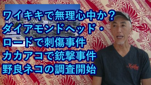 D.H.C. Hawaii NEWS #137：ワイキキで無理心中か？、早朝のダイアモンドヘッド・ロードで刺傷事件、カカアコで銃撃事件、野良ネコの調査開始