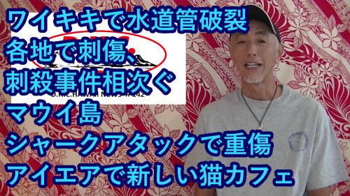 D.H.C. Hawaii NEWS #142：ワイキキで水道管破裂、各地で刺傷、刺殺事件相次ぐ、マウイ島シャークアタックで重傷、アイエアで新しい猫カフェ